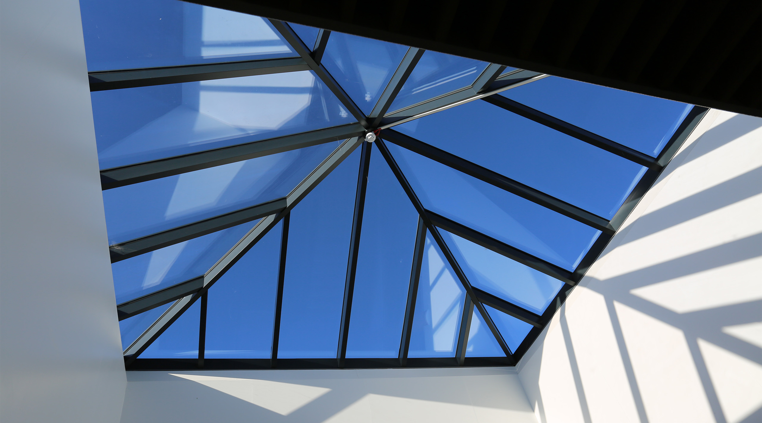 Philip Morant Windows